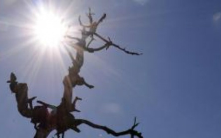 Conferência com 195 países em Paris tenta chegar a novo acordo climático