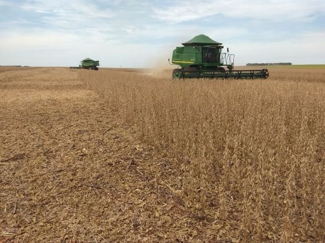 Colheita da soja chega a 75% da área de MS com boa produtividade Colheita da soja chega a 75% da área de MS com boa produtividade (Foto: Reprodução)