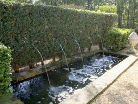 Foto: Divulgação Bela alternativa para seu jardim