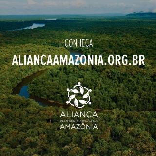 Aliança reúne diversos atores por uma agenda positiva para a restauração na AmazôniaFoto: Divulgação 