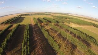 Uso de drone requer técnica para tratamento de imagem aérea Foto: Divulgação