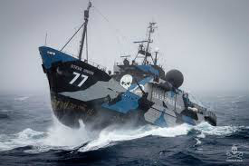 Japão proíbe entrada de 11 ecologistas da Sea Shepherd