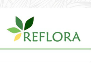 Lançado herbário virtual Reflora, com mais de 420 mil imagens de plantas