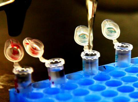 Os investimentos chegaram a R$ 80 milhões, de acordo com a empresa, e a unidade vai integrar um complexo industrial farmacêutico, farmoquímico, biotecnológico e de pesquisa