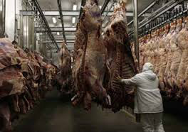 Embargo da Rússia abre grande janela para Brasil exportar carnes