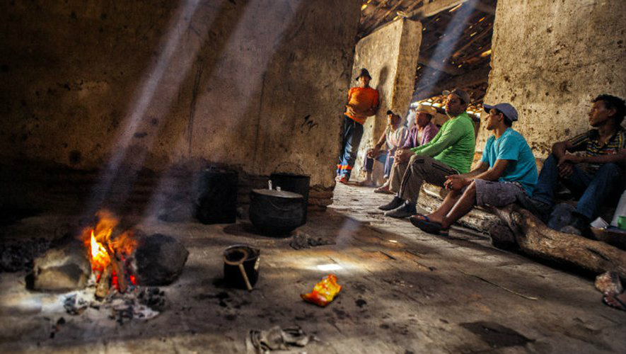 Operação contra trabalho escravo resgata 11 pessoas no Mato Grosso do Sul Foto: Divulgação