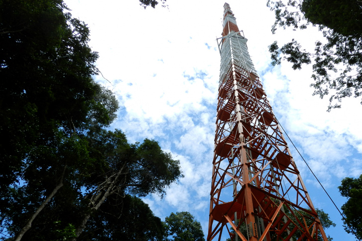 Maior torre de pesquisa climática do mundo deve operar na Amazônia em 2016 Maior torre de pesquisa climática do mundo deve operar na Amazônia em 2016