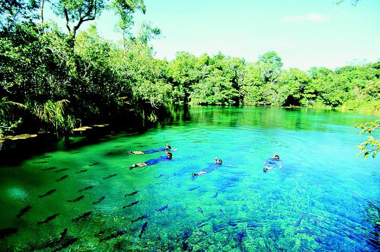 Paisagens marcantes do Pantanal sul-mato-grossense e Bonito, fazem parte da Exposição