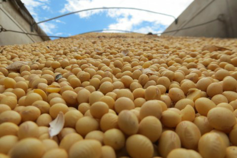 Foto: Ascom Famasul