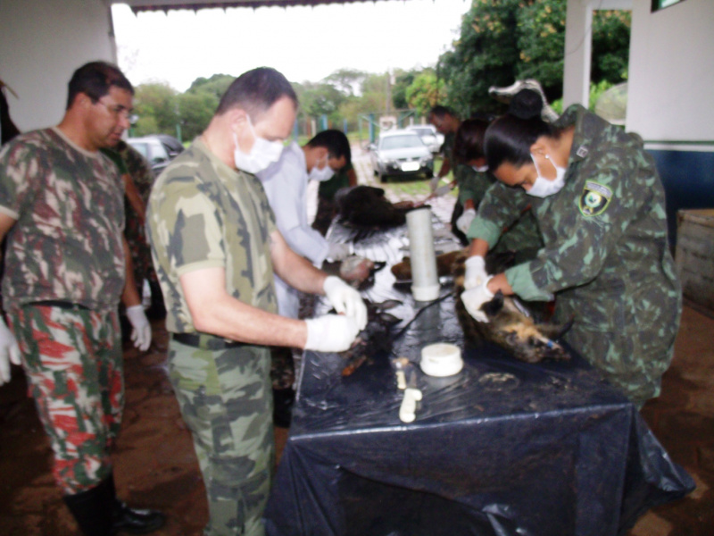PMA iniciou hoje curso de taxidermia em Dourados para Policiais Ambientais