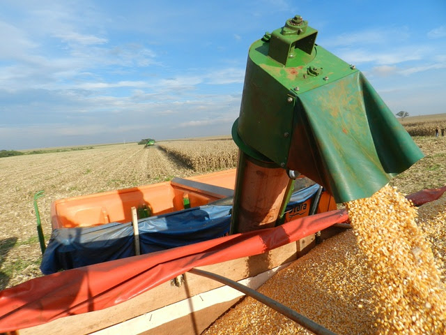 Produção agropecuária deve faturar R$ 504 bilhões em 2016 Produção agropecuária deve faturar R$ 504 bilhões em 2016