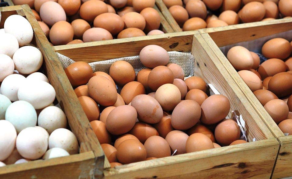Ovos: mercado começa a dar sinais de deterioração Foto: Divulgação