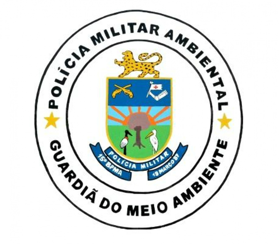 Foto divulgação