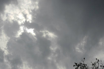 Foto divulgação