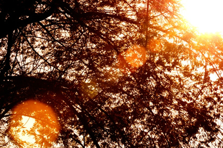 Índice ultravioleta está alto em Mato Grosso do Sul Índice ultravioleta está alto em Mato Grosso do Sul