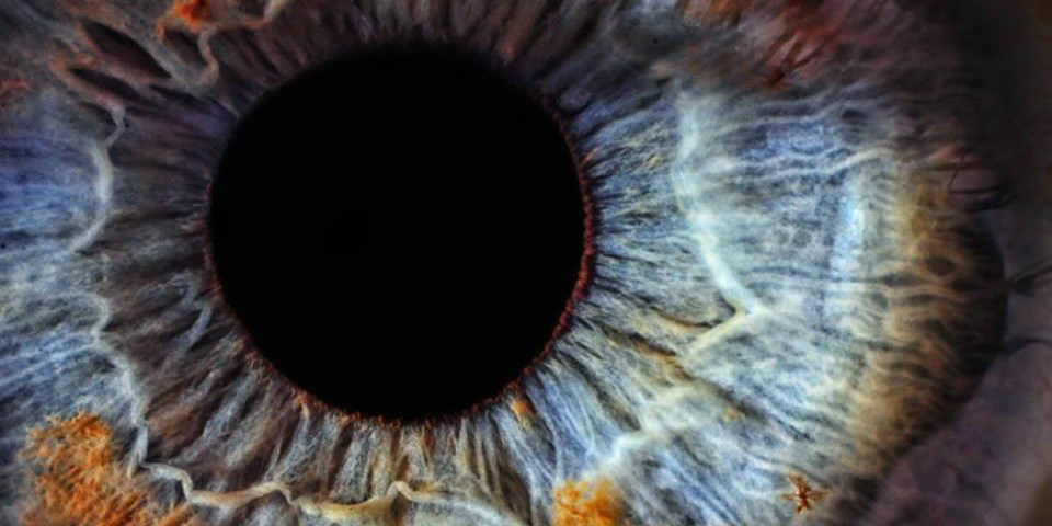 31 fatos insanos sobre os olhos Foto: Divulgação