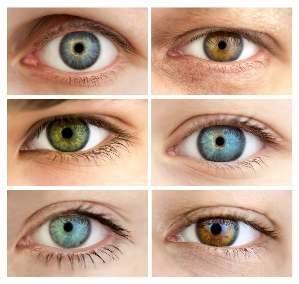 31 fatos insanos sobre os olhos Foto: Divulgação