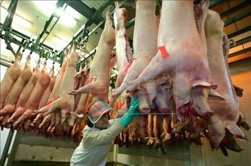 O Brasil é o segundo maior exportador de carne de porco e aves para a Rússia. No ano passado, as empresas brasileiras forneceram 124,4 mil toneladas destes produtos no valor de quase US$ 400 milhões. EFE/Arquivo