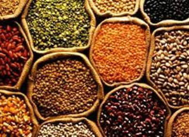 Safra de grãos 2013/14 deve somar 188,7 milhões de toneladas Safra de grãos 2013/14 deve somar 188,7 milhões de toneladas