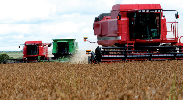 PIB Agropecuário pode cair ainda mais, diz especialista