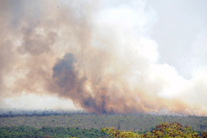 Incêndio já consumiu 25% do Parque Nacional de Brasília Incêndio já consumiu 25% do Parque Nacional de Brasília