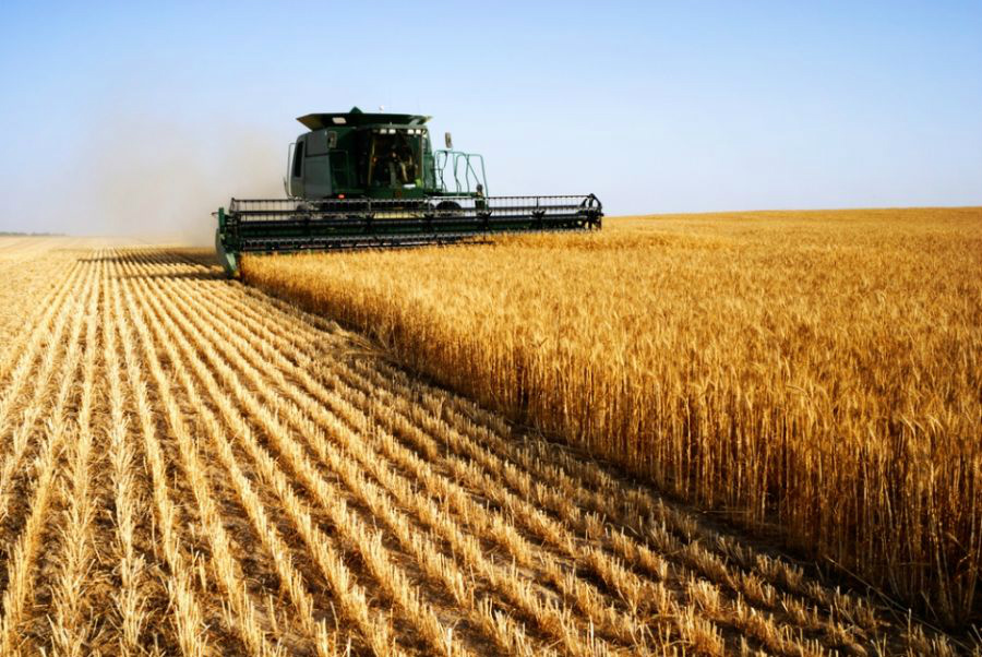Com ajuda da agropecuária, PIB de MS pode crescer 3% apesar de crise econômica Com ajuda da agropecuária, PIB de MS pode crescer 3% apesar de crise econômica