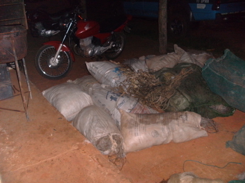 PMA apreende 2,5 km de redes de pesca no rio Paraná