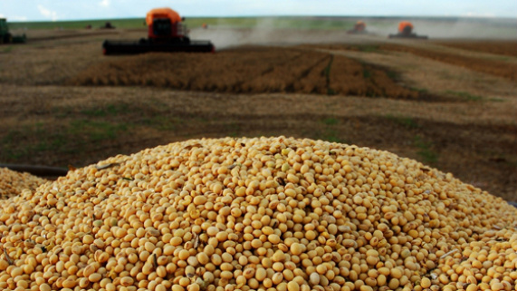 MS encaminhou 90% de sua soja para Ásia Foto divulgação