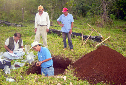 Zoneamento agroecológico da Embrapa vai diversificar cultivos agrícolas em MS
