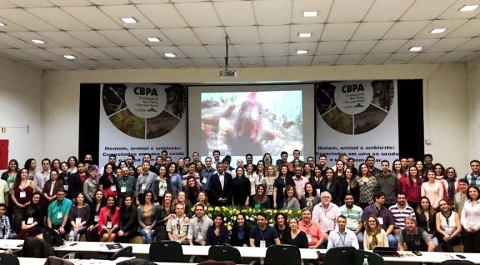 Brasil avança no debate sobre bem-estar animal Foto: Divulgação