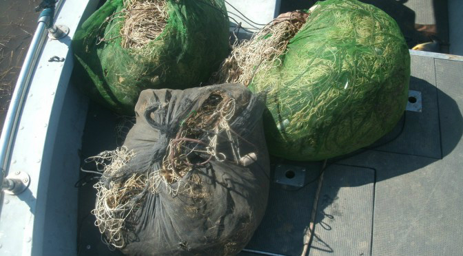 PMA apreende 350 metros de redes em Baía do Pantanal