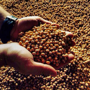 Rússia prevê exportar menos grãos em 2015 Rússia prevê exportar menos grãos em 2015
