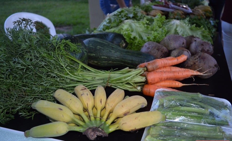 Feira chama atenção para a força da agricultura familiar em Amambai Produtos são orgânicos e produzidos somente em Amambai / Foto: Moreira Produções