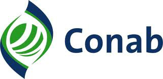 Conab: apesar de aumento da área plantada, safra de grãos deve ser menor