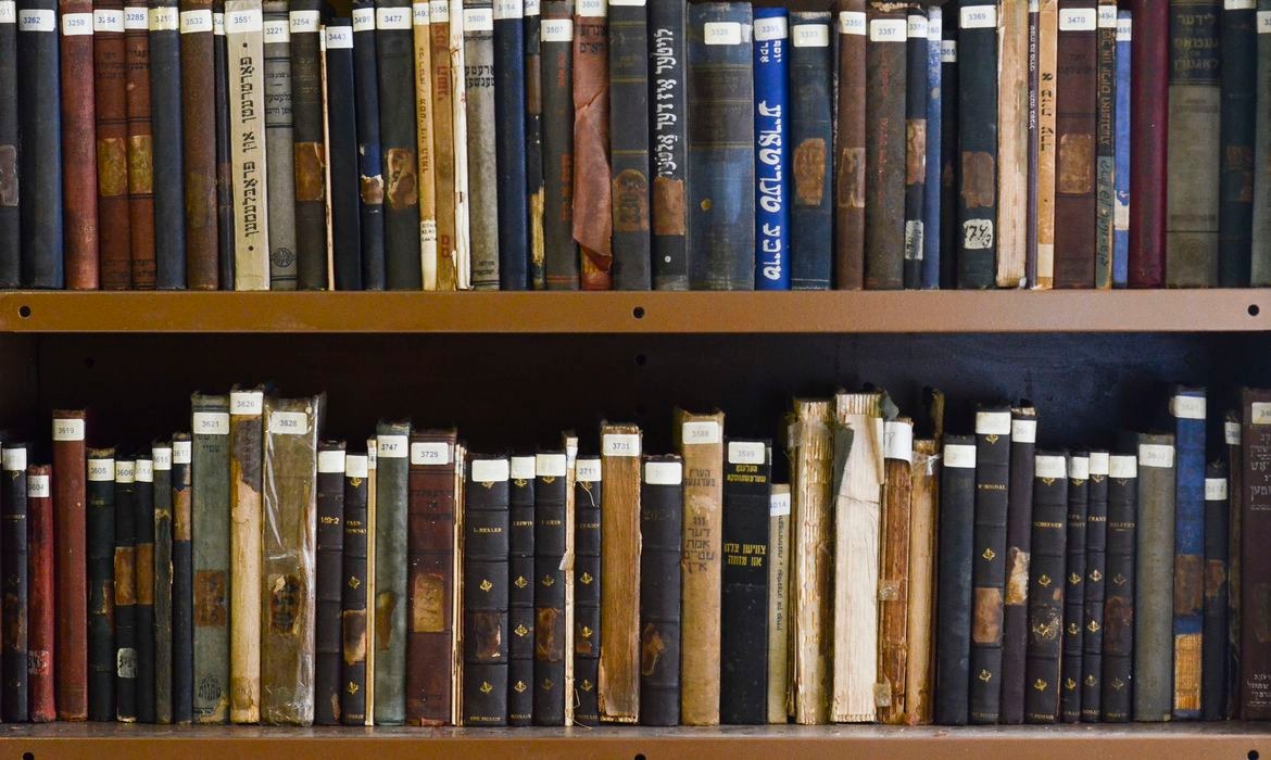 Senado aprova regulamentação da profissão de historiador Rovena Rosa/Agência Brasil