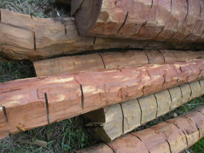 PMA autua fazendeiro em R$ 5 mil por exploração ilegal de madeira de lei