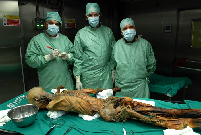 DNA de bactéria é encontrado em osso de múmia de mais de 5 mil anos