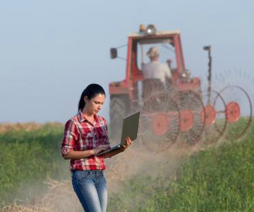 Agropecuária lidera o uso de certificado digital no Brasil Foto: Divulgação