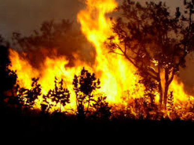 Perigo de incêndios florestais aumenta em Mato Grosso do Sul Em 2015 foram registrados 5.309 focos de incêndio em todo estado de Mato Grosso do Sul / Foto: Divulgação