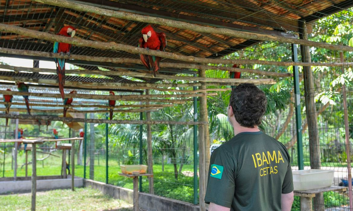 Ibama apura maus-tratos em centro de triagem de animais silvestres Foto: Agência Brasil