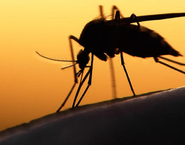 Hackaton para enfrentamento do Zika está com inscrições abertas Hackaton para enfrentamento do Zika está com inscrições abertas