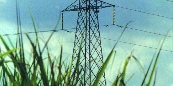 Relatório mundial sobre bioenergia assegura que não falta terra para produção Relatório mundial sobre bioenergia assegura que não falta terra para produção