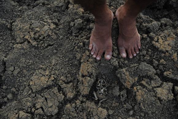 Estiagem em reservatório no sertão central do Ceará   Arquivo/Fernando Frazão/Agência Brasil