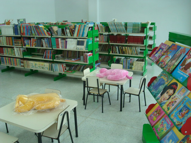 Pesquisa indica que acesso a biblioteca contribui para aprendizado infantil