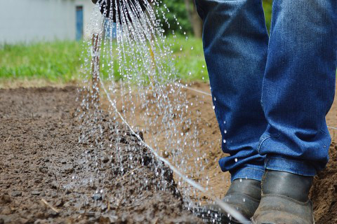 Crise da água já afeta agricultura no Brasil Foto: Ascom Famasul