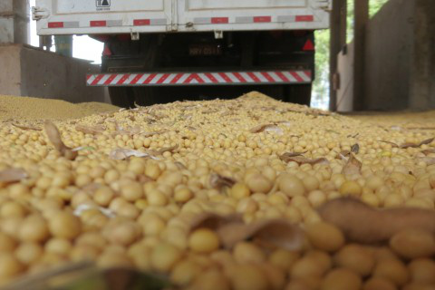 Soja supera recordes nas exportações brasileiras em 2014 Foto: Ascom Famasul