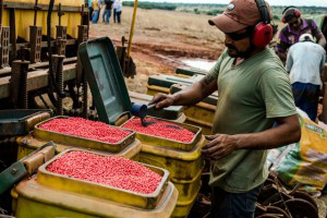 Agropecuária gera mais de 8 mil novos postos de trabalho em abril