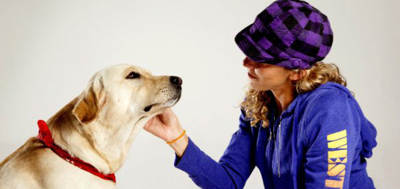20 fatos importantes que todo dono de cachorro jamais deve esquecer