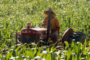 Seguro da Agricultura Familiar foi pago a mais de 28 mil agricultores neste ano