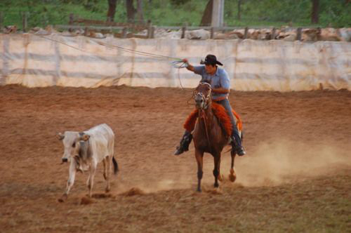 Fundesporte realizará em Dourados curso de Formação de Árbitros de Laço Comprido